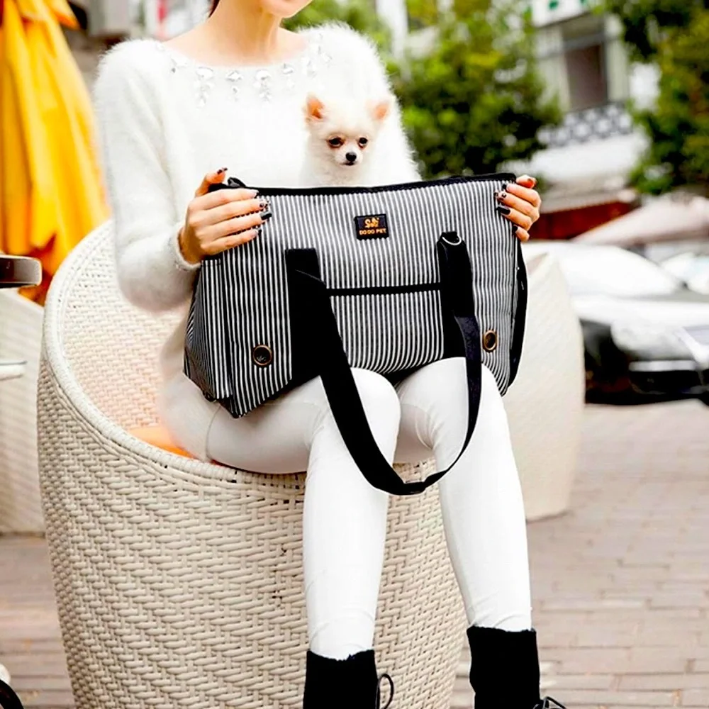 Pet Carrier Soft-sided Handbag